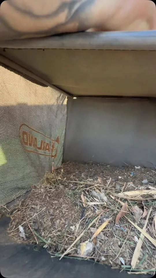 Dirt, hair and debris pulled from under artificial turf