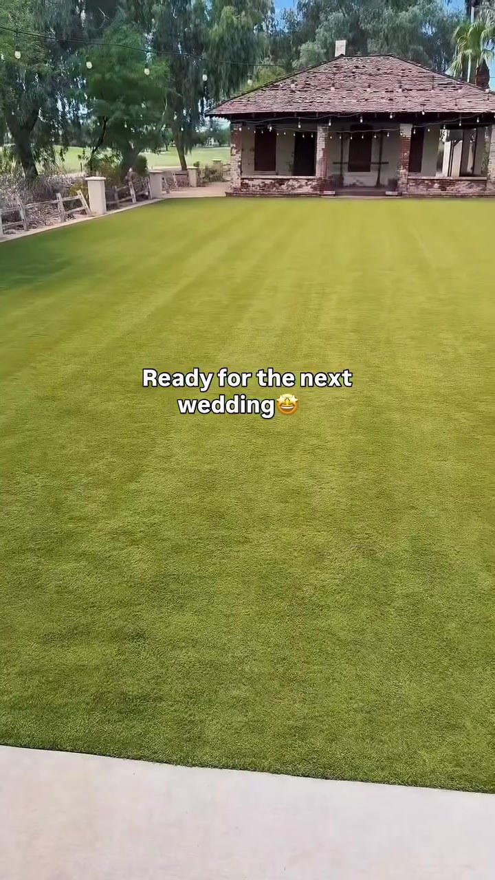 Freshly cleaned and brushed wedding lawn artificial turf in Phoenix, AZ - Turf Tune Up